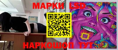 МДПВ Канаш