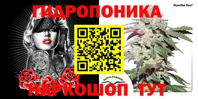 МДПВ Канаш