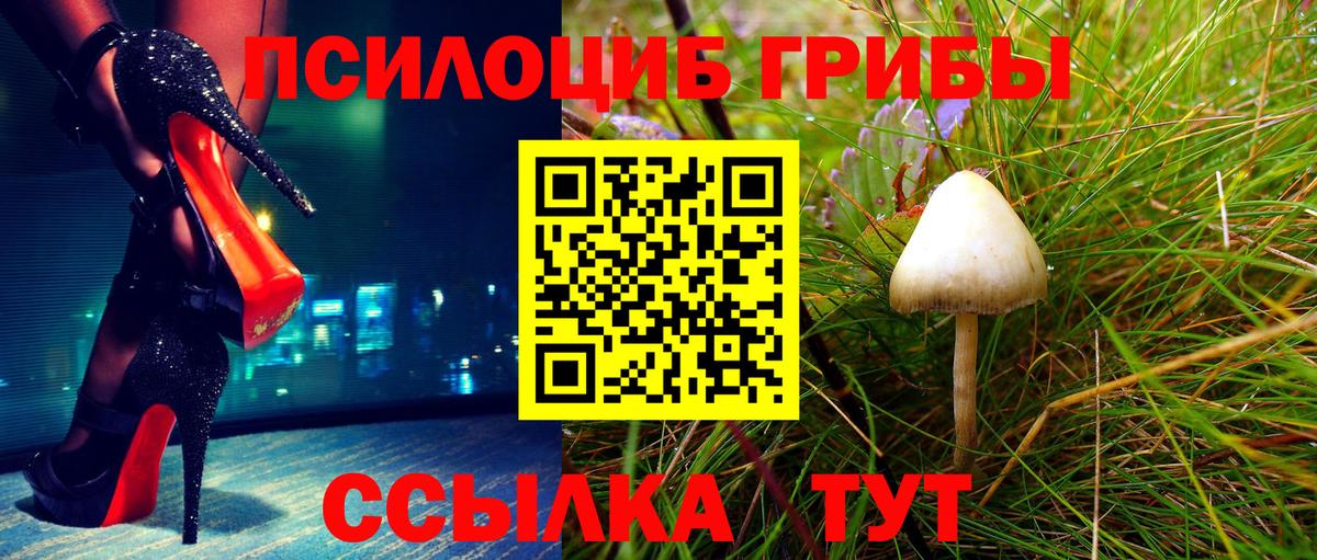 Псилоцибиновые грибы ЛСД Заводоуковск