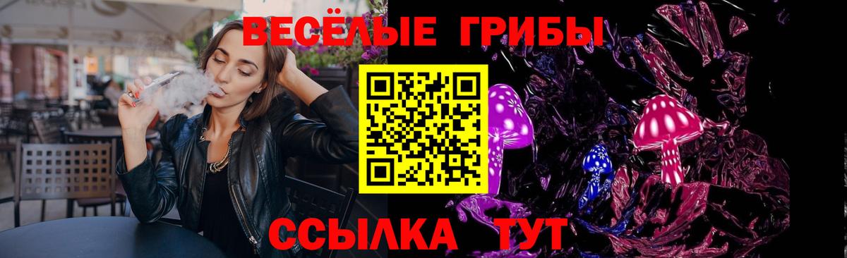 Заводоуковск  Псилоцибиновые грибы Cubensis  Галлюциногенные грибы Cubensis  Вход с VPN 